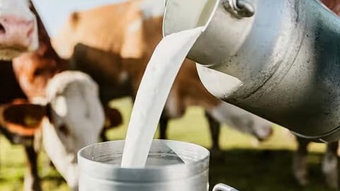 Milk purchase rate