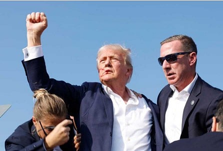 Donald Trump Firing