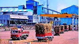 Maharashtra Sugar Factory