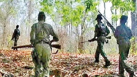 12 Naxalites killed by security forces in Gadchiroli district