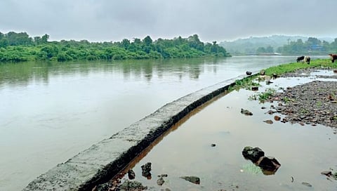 monsoon update
