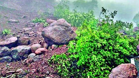 satara news