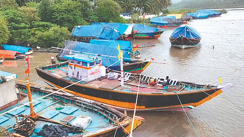 raigad fishing
