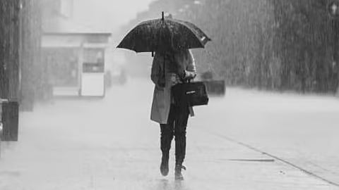 Rain Alert