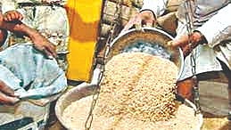 Nashik News | धान्यवाटप नाही, आठवडाभरापासून सर्व्हरचा अडथळा