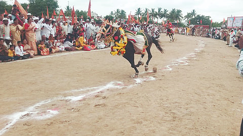 An eye-catching arena ceremony of Jagadguru Sant Sritukaram Maharaj Palkhi ceremony was held at Belwadi (in Indapur) on Monday