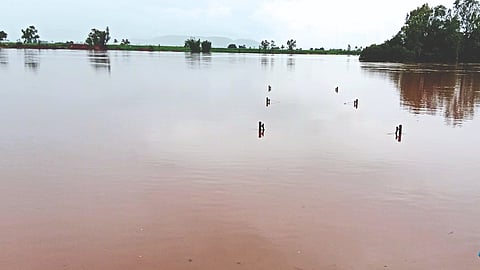 Sangli Flood Situation