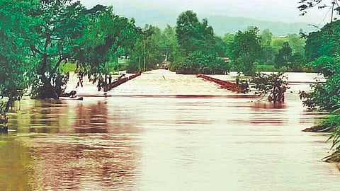 Sangli Flood News