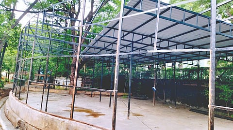 Bird Museum