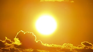 Sun Transit in Ashlesha