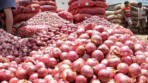 Onion crop loss Ahilyanagar: भावाअभावी कांद्यावर नांगर फिरवण्याची वेळ; अतिवृष्टीने अहिल्यानगरच्या शेतकऱ्यांचे मोठे नुकसान