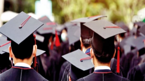 Higher Education Fees