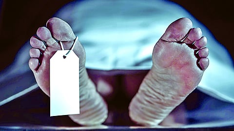 dead body