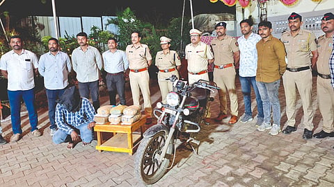 12 Kg Ganja seized In Sangli