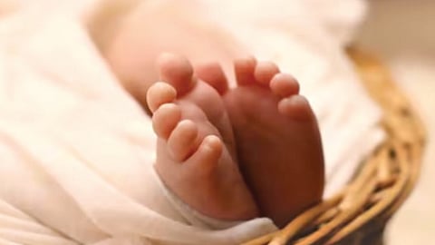 Premature Babies