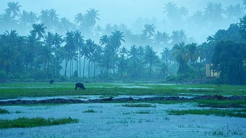 Monsoon Update