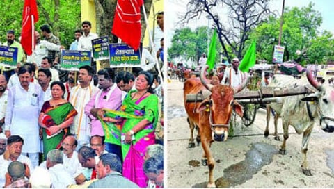 Beed News
