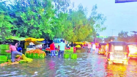 latur news