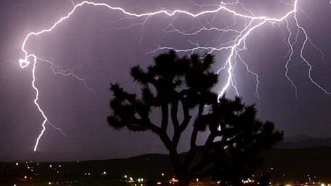 Lightning Death Case |