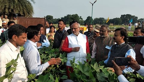 Akola News