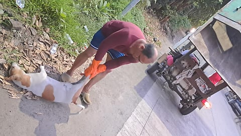 डोंबिवली