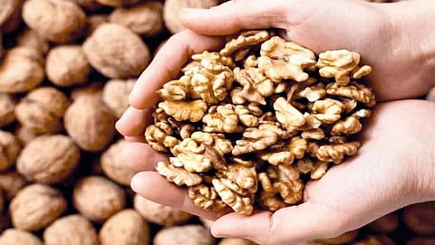 Health Benefits of Walnuts