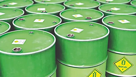 On the radar of illegal biodiesel sales in the district, teams have been deployed for inspection