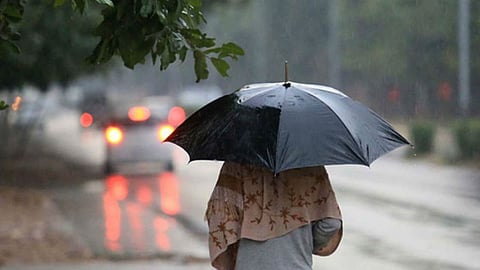 Rain Alert