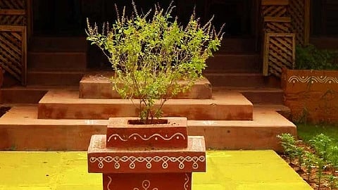 Tulshi Vivah