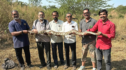 python found