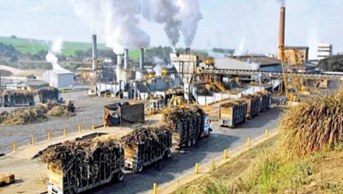 sugar industry
