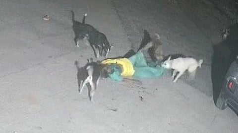 ठाणे