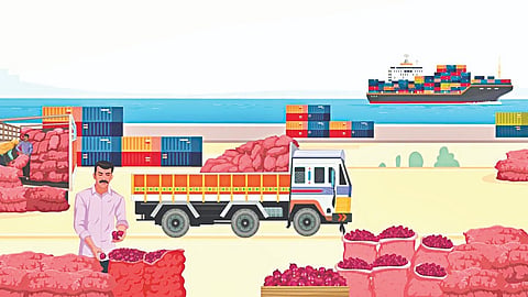 Onion Export News