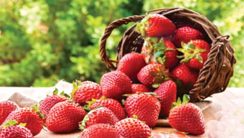 Strawberries keep many serious diseases away