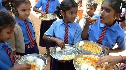School Nutrition