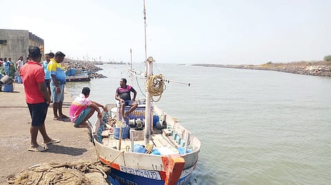 Fish Production