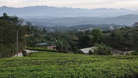 Goa Western Ghats Biodiversity Sensitive Areas