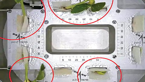 ISRO SpaDeX Docking Experiment