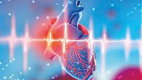 Heart Health : महिलांमध्ये हृदयविकाराच्या झटक्यांची लक्षणे नेहमीसारखी नसतात! जाणून घ्या नवीन संशोधनातील A to Z माहिती