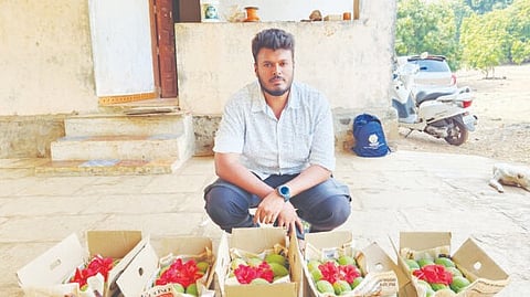 Alibag Hapus Mango