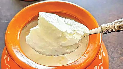 रिकाम्या पोटी दह्याचे सेवन ठरते लाभदायक