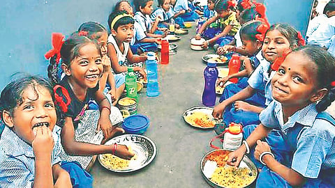 Nutrition meal |