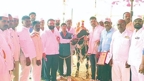 इगतपुरी, नाशिक
