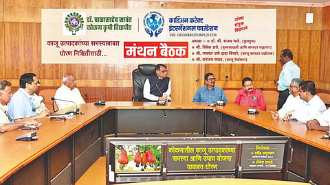 Cashew directorate for Konkan