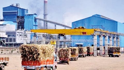 Sugar Factories