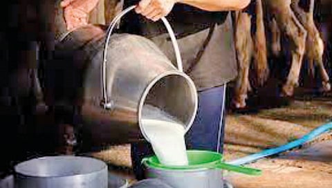 milk adulteration