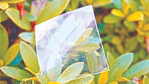 Degradable plastic
