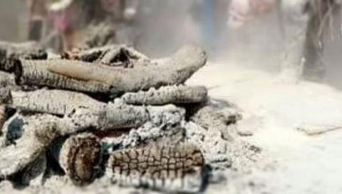 मालेगाव (नाशिक)