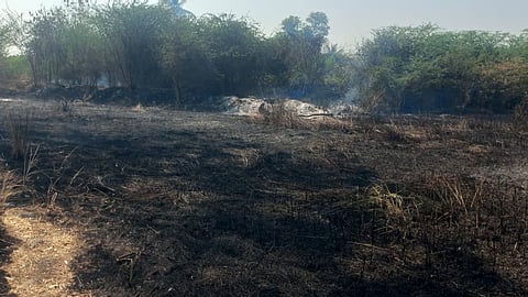 Sangali News