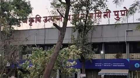 Pune News